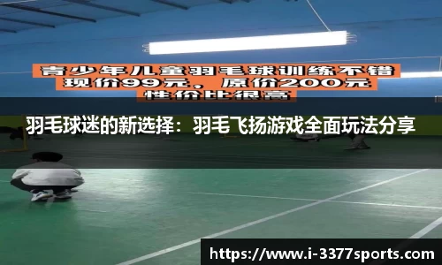 羽毛球迷的新选择：羽毛飞扬游戏全面玩法分享